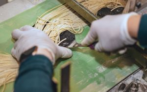  at Shin Ramen  in Hannover