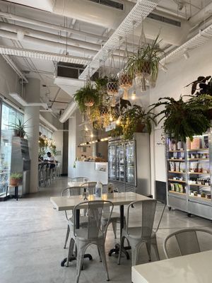 Interior   at Wild & The Moon - DIFC in Dubai