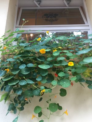 Outside  at Gravity in Stuttgart