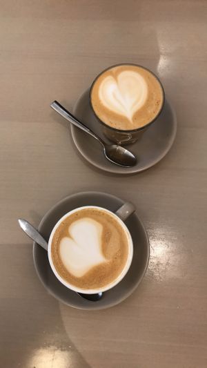 Oat cappuccino and latte at The Early Bird in Birmingham