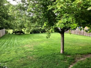 The backyard is a dream for kids and pets. at Terra in Colborne