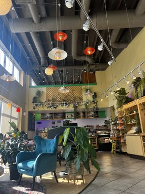 Indoor vibe  at Moe Joe in Clemson