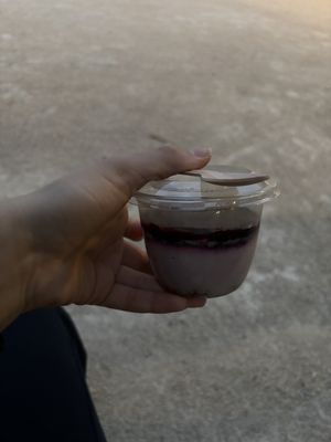   at Gustavo in Grenoble