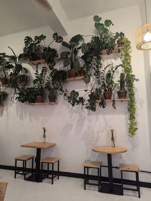  at Grumpy & Runt in Western Cape