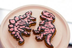 Dinosaur sugar cookies  at Grumpy & Runt in Western Cape