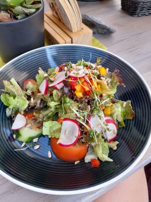 Beilagensalat mit Kernen und Sprossen at Zum Ochsen in Grasellenbach