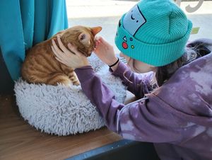 #Veganuary at Crooked Tail Cat Cafe in Greensboro