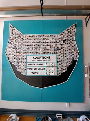  at Crooked Tail Cat Cafe in Greensboro