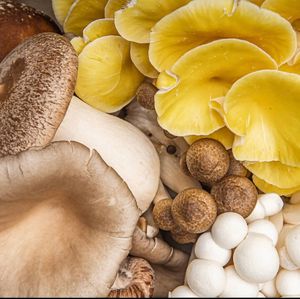  at Buddhas Kitchen & Wellness Lounge in Launceston