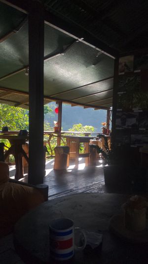 Gorgeous ambience #Veganuary at Nature Cafe in Drake Bay