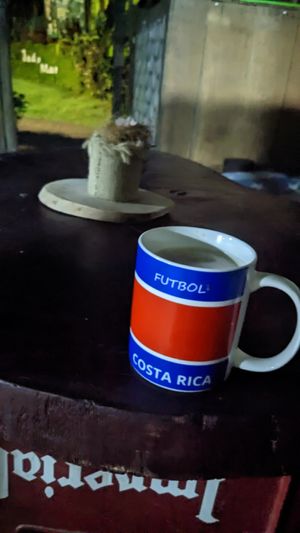 #Veganuary at Nature Cafe in Drake Bay