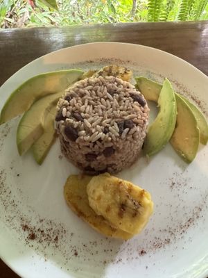 Pinto Gallo made vegan with avocado and plantain   at Nature Cafe in Drake Bay