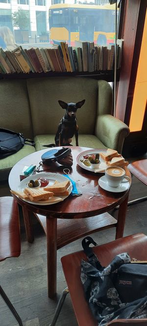 Tasty tosty at Resort in Warsaw