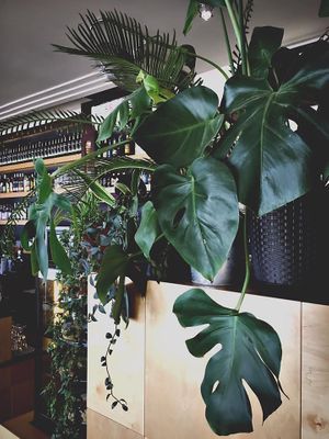 Resort, Bielańska 1, Warsaw at Resort in Warsaw