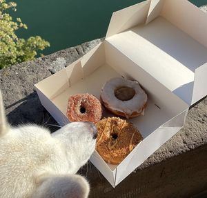   at Mystifry in Basel