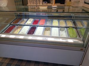 Various vegan and vegetarian flavours at Eis Greissler in Wiener Neustadt