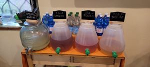  at SaporiBio in Lugano