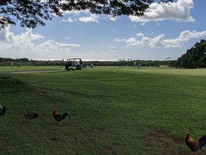A few from the restaurant. at Paco's Tacos in Koloa