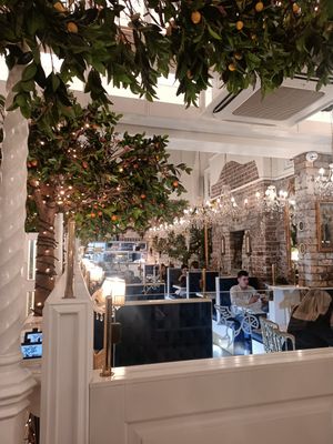  at The Chubby Cherub in Belfast