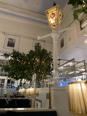 Inside  at The Chubby Cherub in Belfast