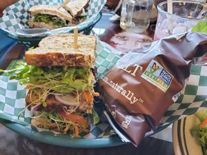  at Sunsprout Cafe in Fairbanks