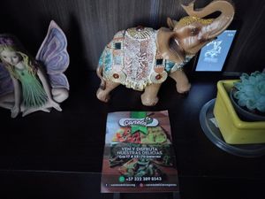 Me encontré esta belleza 😻 de publicidad at Canela Delicias Veganas in Bogota