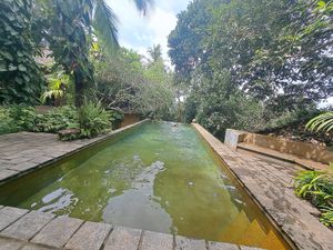  at Cafe Durga in Unawatuna