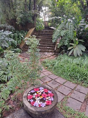  at Cafe Durga in Unawatuna