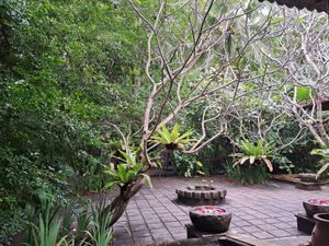  at Cafe Durga in Unawatuna