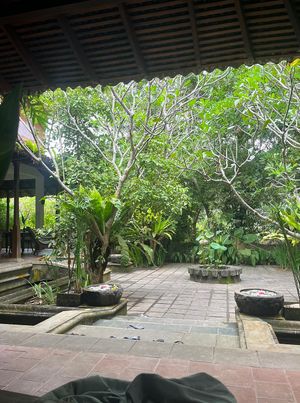   at Cafe Durga in Unawatuna