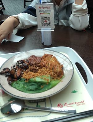 No cash payment ,Hakka pan mee 20rm  at VegTalk in Genting Highlands