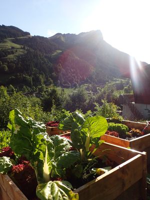 The vegetable garden in summer at Auberge de Jeunesse in La Clusaz