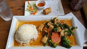 Veggie tofu curry, and half a tofu spring roll at Pho Basil in Boston