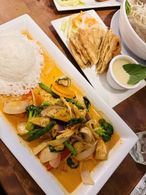 Roti & Tofu Curry mit Reis   at Pho Basil in Boston