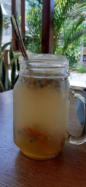 Rico at INA Restaurante in Medellin