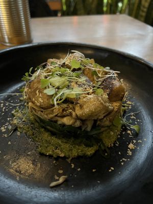 ñoquis del bosque - gnocchi pesto mushroom dish  at INA Restaurante in Medellin