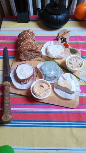 Big choice of delicious handmade camemberts in the new shop at Picknick in Muenster