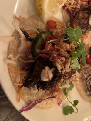 Today’s (12 Dec 2023) taco of the day - Bulgogi (Korean BBQ beef)  at Vandal in Newtown