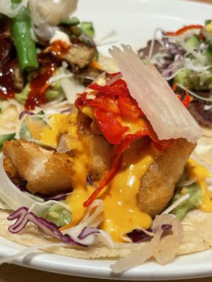   at Vandal in Newtown