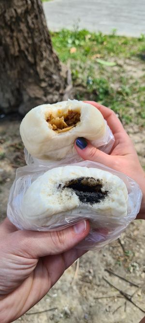 Top: bamboo & mung bean. Bottom: sesame paste (sweet-ish). Both: delicious. at ShàngHǎi Bāo Zǐ 上海包子素食點心 in Taipei