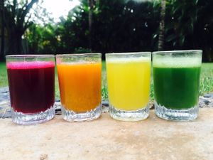 Garden shots at Ki-Ra Holistic Living in La Romana