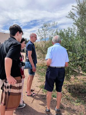   at Jarjeer Mule And Donkey Refuge in Oumnass