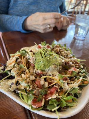 Avocado farro  at Cozy Plum Bistro  in Sebastopol