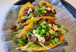 Mushroom Taco at Cozy Plum Bistro  in Sebastopol