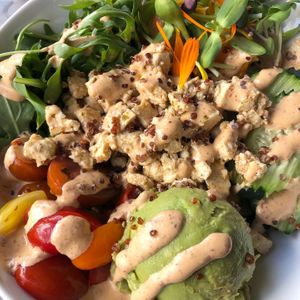 Moroccan Bowl  at Cozy Plum Bistro  in Sebastopol