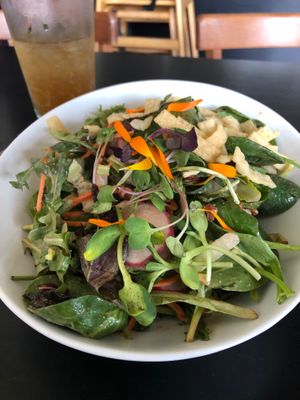 Cozy Plum Salad at Cozy Plum Bistro  in Sebastopol