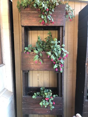 Patio  at Cozy Plum Bistro  in Sebastopol