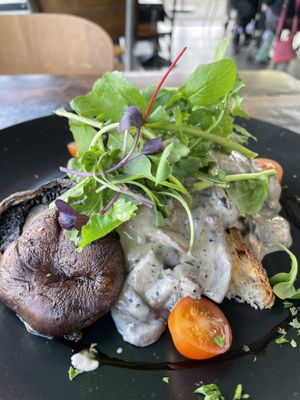 Vegan creamy mushrooms  at Little Sister Café in Auckland