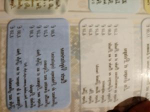 The veg section at Bonjour Vietnam in Pau