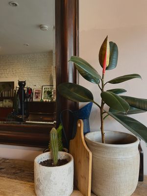  at The Muddy Puddle in North London